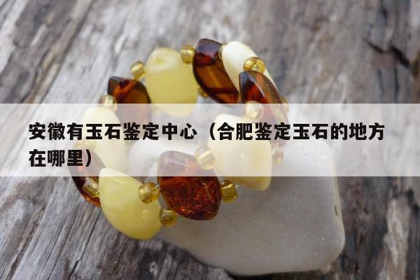 安徽有玉石鉴定中心（合肥鉴定玉石的地方 在哪里）