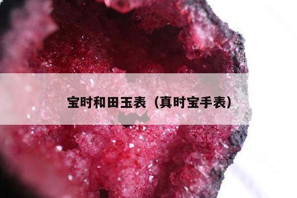 宝时和田玉表（真时宝手表）