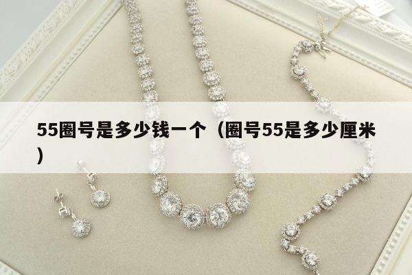5圈号是多少钱一个（圈号55是多少厘米）"