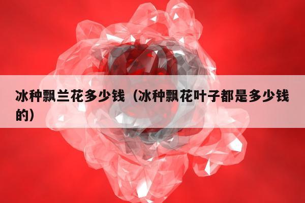 冰种飘兰花多少钱（冰种飘花叶子都是多少钱的）