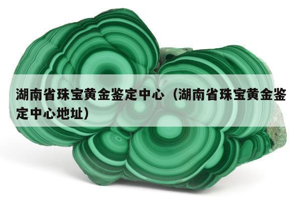 湖南省珠宝黄金鉴定中心（湖南省珠宝黄金鉴定中心地址）