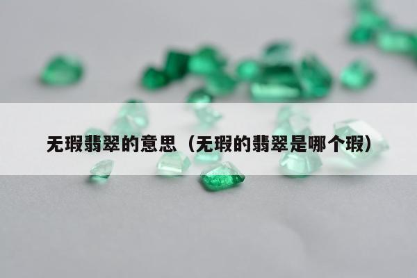 无瑕翡翠的意思（无瑕的翡翠是哪个瑕）