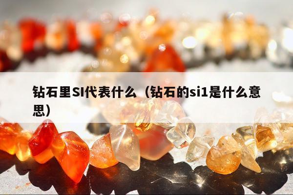 钻石里SI代表什么（钻石的si1是什么意思）