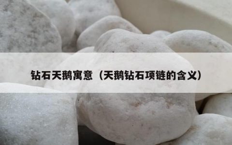 钻石天鹅寓意（天鹅钻石项链的含义）