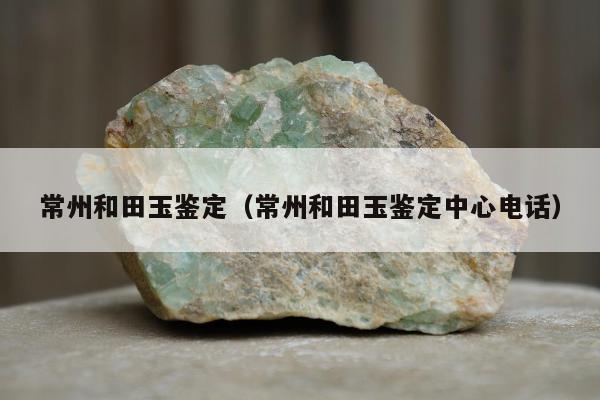 常州和田玉鉴定（常州和田玉鉴定中心电话）