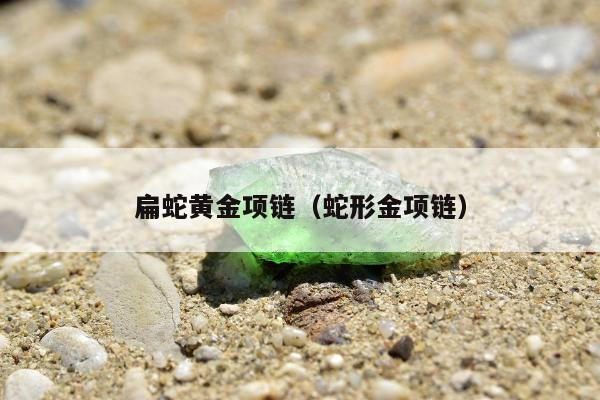 扁蛇黄金项链（蛇形金项链）