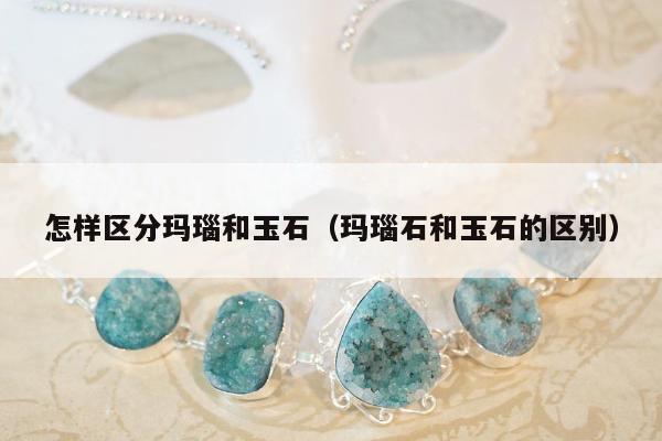 怎样区分玛瑙和玉石（玛瑙石和玉石的区别）