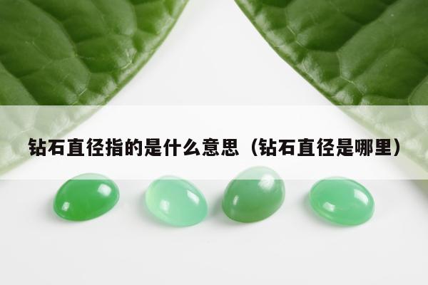 钻石直径指的是什么意思（钻石直径是哪里）