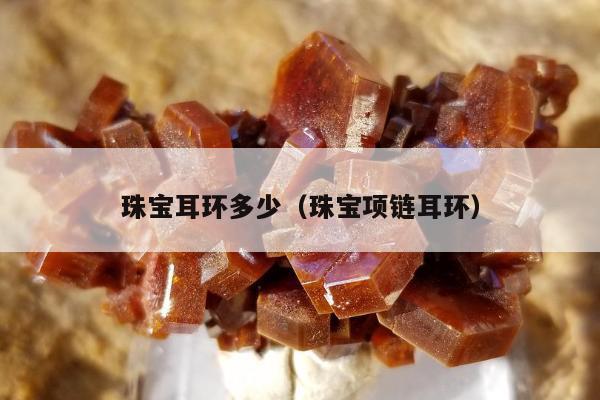 珠宝耳环多少（珠宝项链耳环）