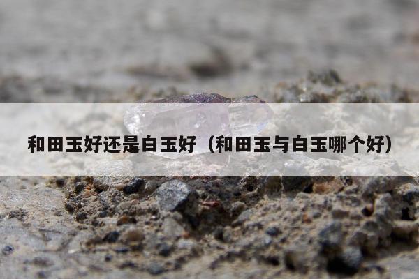和田玉好还是白玉好（和田玉与白玉哪个好）