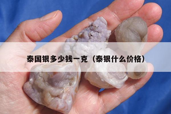 泰国银多少钱一克（泰银什么价格）