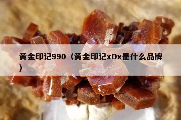 黄金印记990（黄金印记xDx是什么品牌）