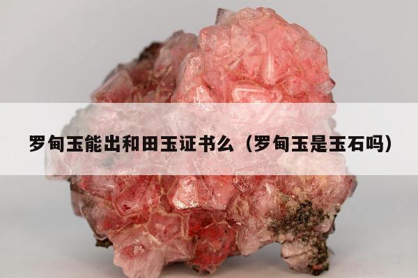 罗甸玉能出和田玉证书么（罗甸玉是玉石吗）
