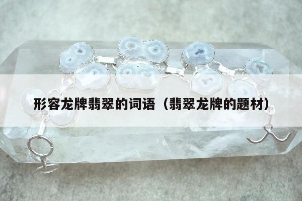 形容龙牌翡翠的词语（翡翠龙牌的题材）
