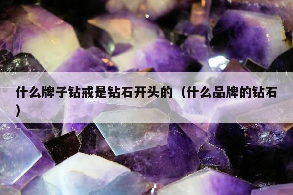 什么牌子钻戒是钻石开头的（什么品牌的钻石）