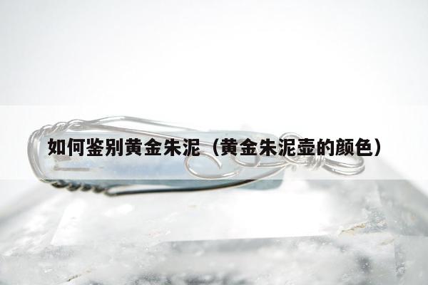 如何鉴别黄金朱泥（黄金朱泥壶的颜色）