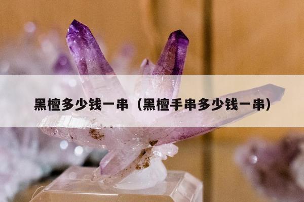 黑檀多少钱一串（黑檀手串多少钱一串）