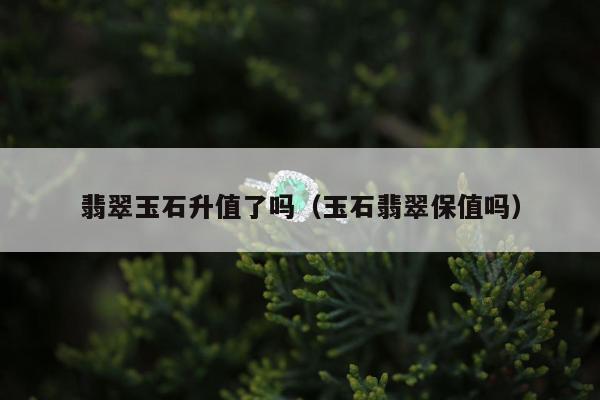 翡翠玉石升值了吗（玉石翡翠保值吗）