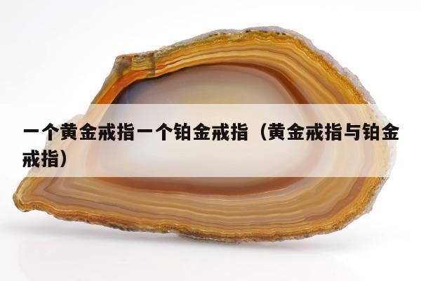 一个黄金戒指一个铂金戒指（黄金戒指与铂金戒指）