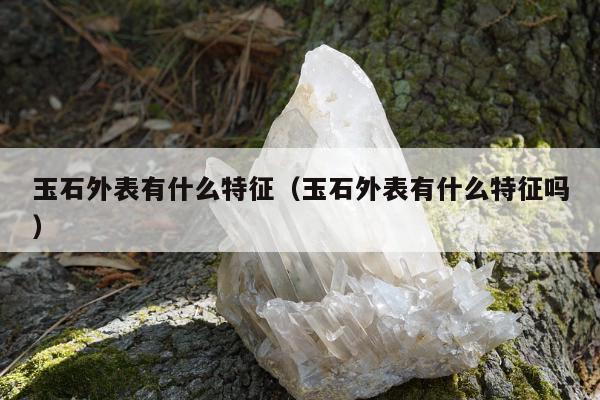 玉石外表有什么特征（玉石外表有什么特征吗）