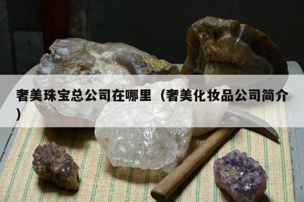 奢美珠宝总公司在哪里（奢美化妆品公司简介）