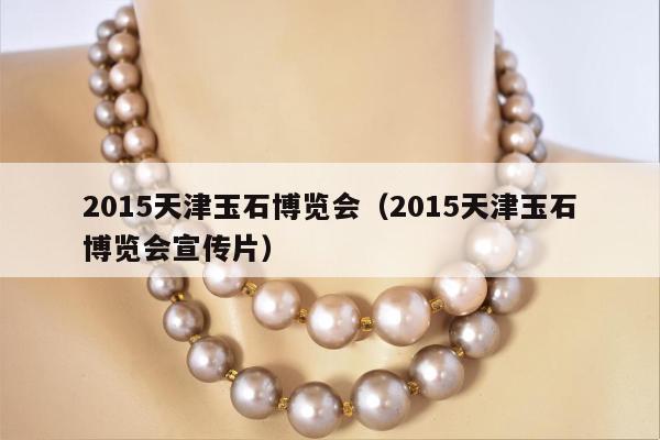 015天津玉石博览会（2015天津玉石博览会宣传片）"