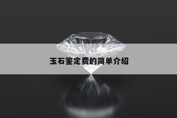 玉石鉴定费的简单介绍