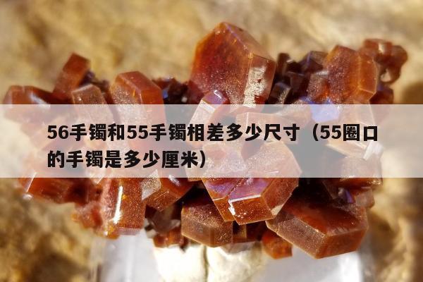 6手镯和55手镯相差多少尺寸（55圈口的手镯是多少厘米）"
