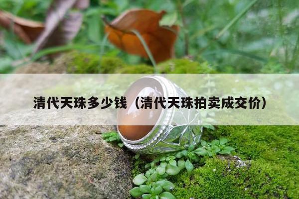 清代天珠多少钱（清代天珠拍卖成交价）