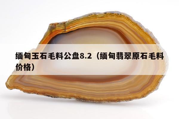 缅甸玉石毛料公盘8.2（缅甸翡翠原石毛料价格）