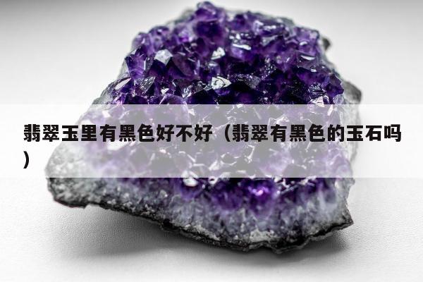 翡翠玉里有黑色好不好（翡翠有黑色的玉石吗）