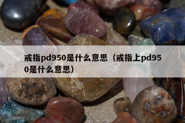 戒指pd950是什么意思（戒指上pd950是什么意思）