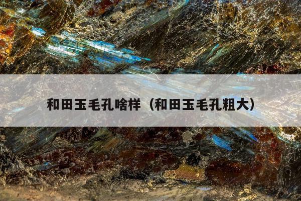 和田玉毛孔啥样（和田玉毛孔粗大）