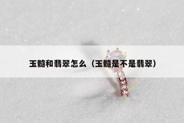 玉髓和翡翠怎么（玉髓是不是翡翠）