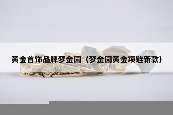 黄金首饰品牌梦金园（梦金园黄金项链新款）