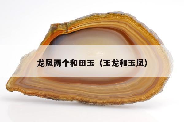 龙凤两个和田玉（玉龙和玉凤）
