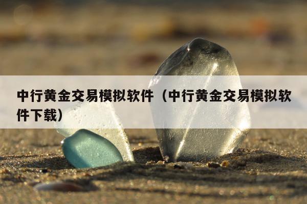 中行黄金交易模拟软件（中行黄金交易模拟软件下载）