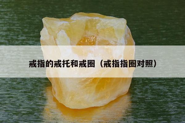 戒指的戒托和戒圈（戒指指圈对照）