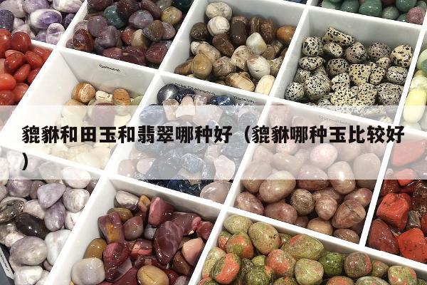 貔貅和田玉和翡翠哪种好（貔貅哪种玉比较好）
