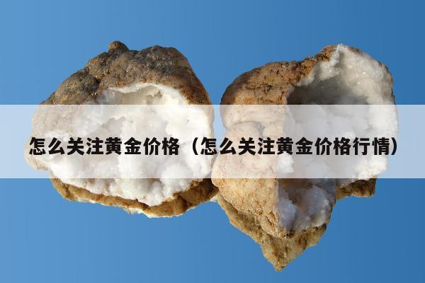 怎么关注黄金价格（怎么关注黄金价格行情）