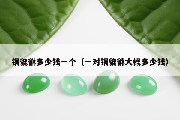 铜貔貅多少钱一个（一对铜貔貅大概多少钱）