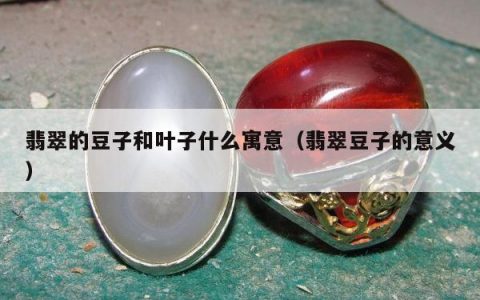 翡翠的豆子和叶子什么寓意（翡翠豆子的意义）