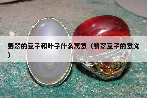 翡翠的豆子和叶子什么寓意（翡翠豆子的意义）