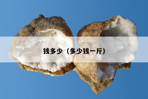 钱多少（多少钱一斤）