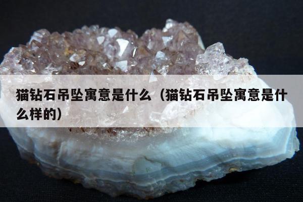 猫钻石吊坠寓意是什么（猫钻石吊坠寓意是什么样的）