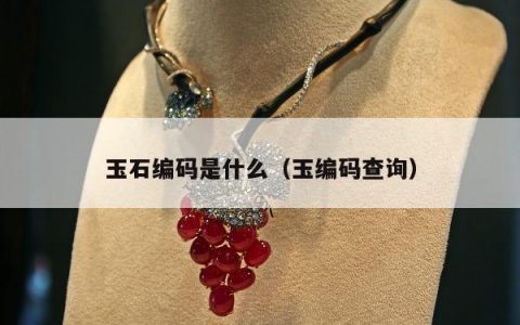 玉石编码是什么（玉编码查询）
