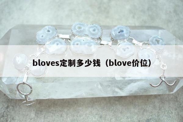 bloves定制多少钱（blove价位）