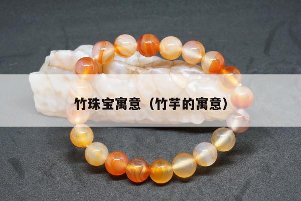 竹珠宝寓意（竹芋的寓意）