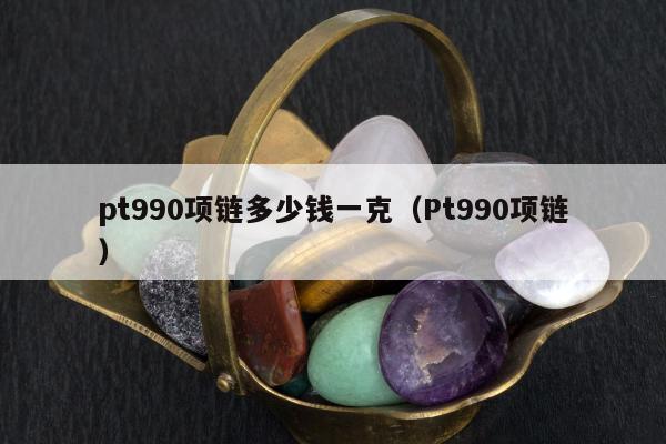 pt990项链多少钱一克（Pt990项链）
