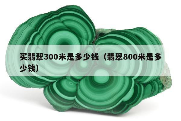 买翡翠300米是多少钱（翡翠800米是多少钱）